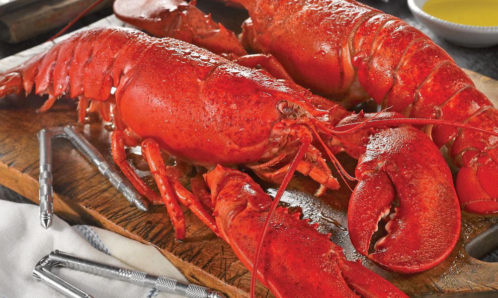 Live Maine Lobsters & Meal Kit
