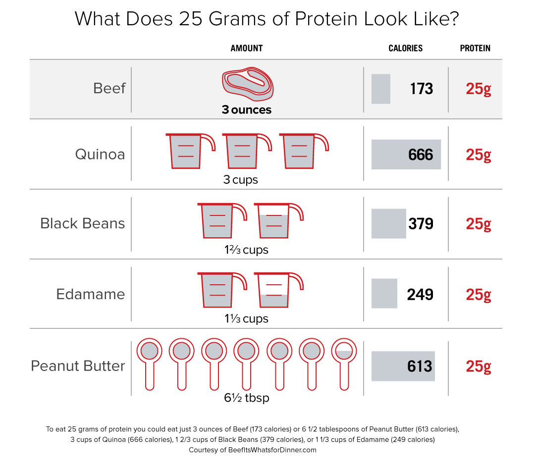 Meat Protein Charts (What Meat Has the Most Protein?) - Thinlicious