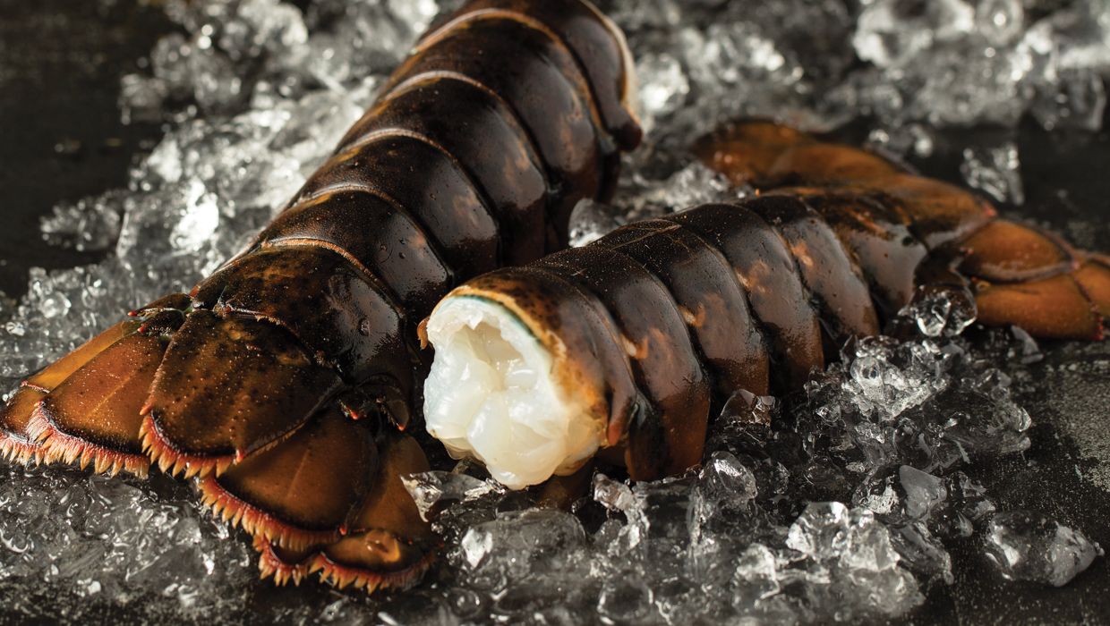 How to Cook Lobster Omaha Steaks