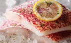 Scarlet Snapper Fillets - 4 (6 oz.) fillets