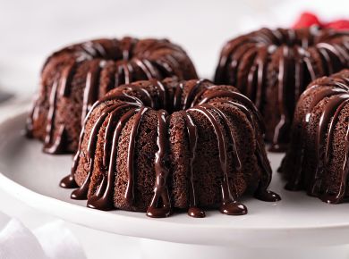 Double Chocolate Bundt Cakes
