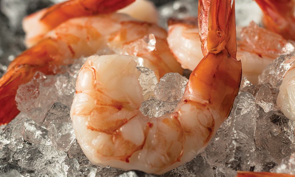 Jumbo Cooked Shrimp