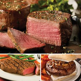 The Carnivore