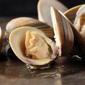 1 pkg. Live Little Neck Clams