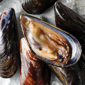 2 (2 lbs. pkgs.) Live Prince Edward Island Mussels