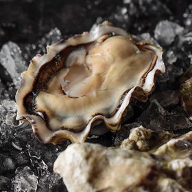 1 pkg. Fresh Malaspina Oysters