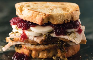 Turkey Melt with Cranberry Pesto Sauce